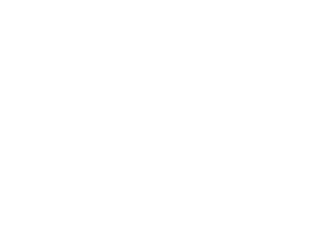 Softwawe logo